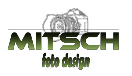 FDM pictureshop Reitsportfotos Sportfotografie